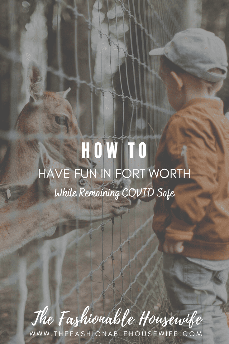 How To Have Fun In Fort Worth While Remaining COVID Safe