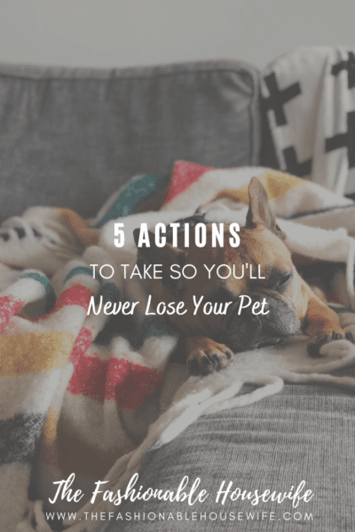 5 Actions to Take to Never Lose Your Pet