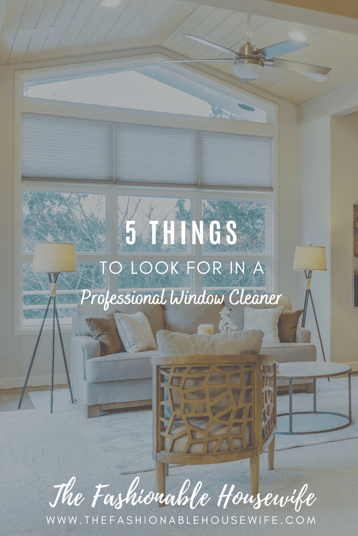 5 Things To Look For In a Professional Window Cleaner
