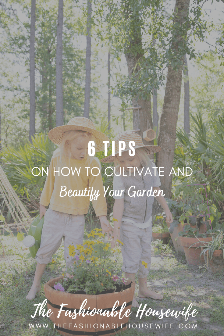 6 Effective Tips on how to Cultivate and Beautify Your Garden