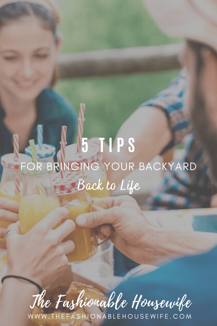 5 Tips For Bringing Your Backyard Back to Life