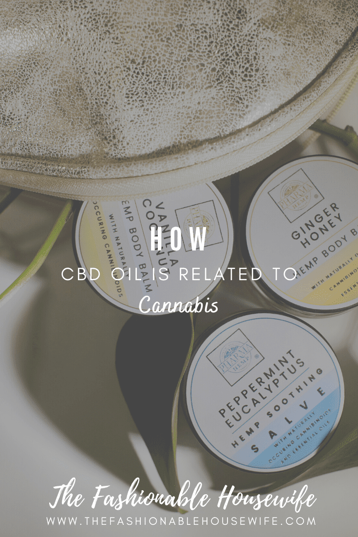 How CBD Oil Is Related To Cannabis