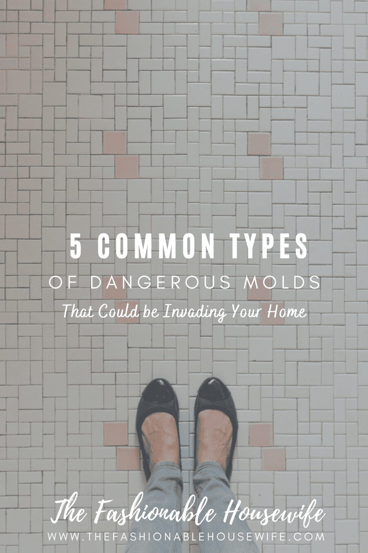 5 Common Types of Dangerous Molds That Could be Invading Your Home