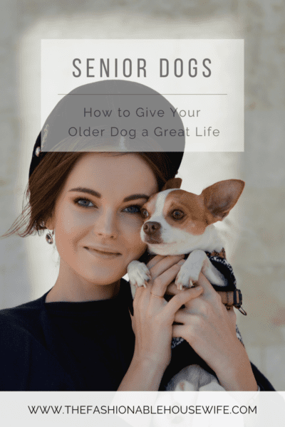 Senior Dogs: How to Give Your Older Dog a Great Life