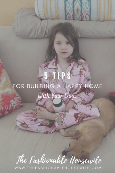 5 Tips for Building a Happy Home with Your Dogs
