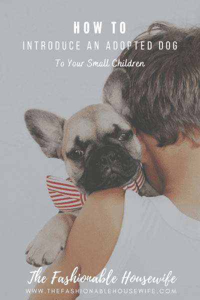 How To Introduce an Adopted Dog to Your Small Children