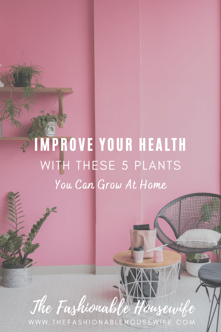 Improve Your Health With These 5 Plants You Can Grow At Home