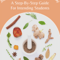 Natural Health Professional Online Programs: A Step-By-Step Guide for Intending Students