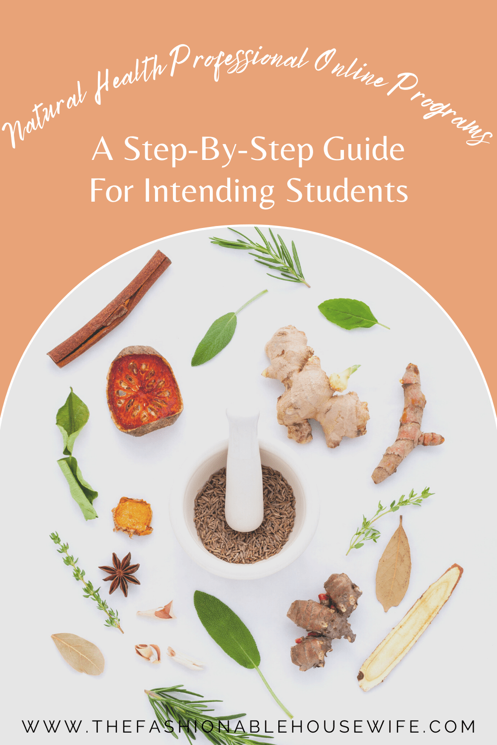 Natural Health Professional Online Programs: A Step-By-Step Guide for Intending Students