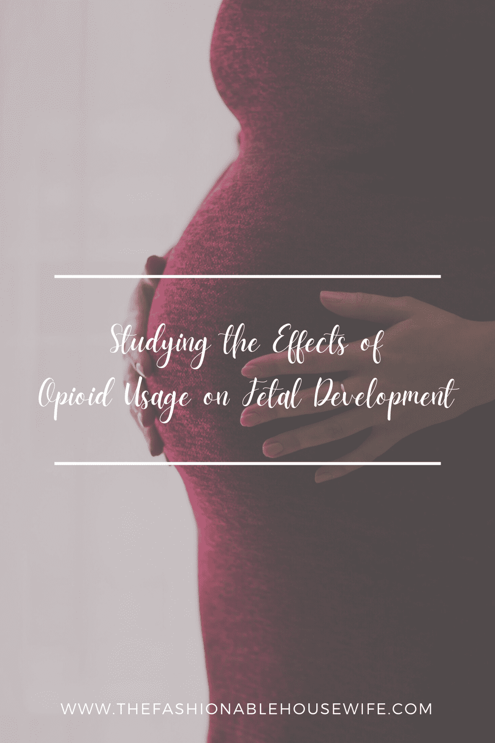 Studying the Effects of Opioid Usage on Fetal Development