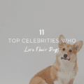 11 Celebrities Who Love Their Dogs