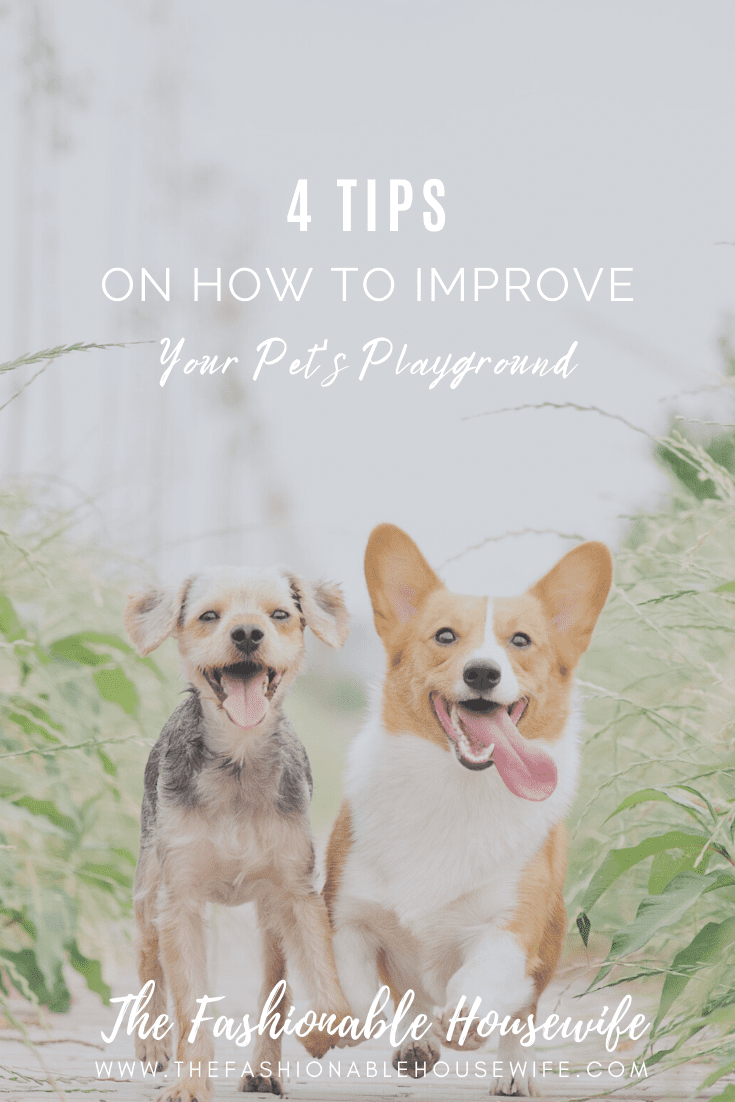 4 Proven Tips On How To Improve Your Pet's Playground