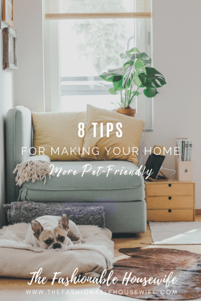 8 Tips for Making Your Home More Pet-Friendly