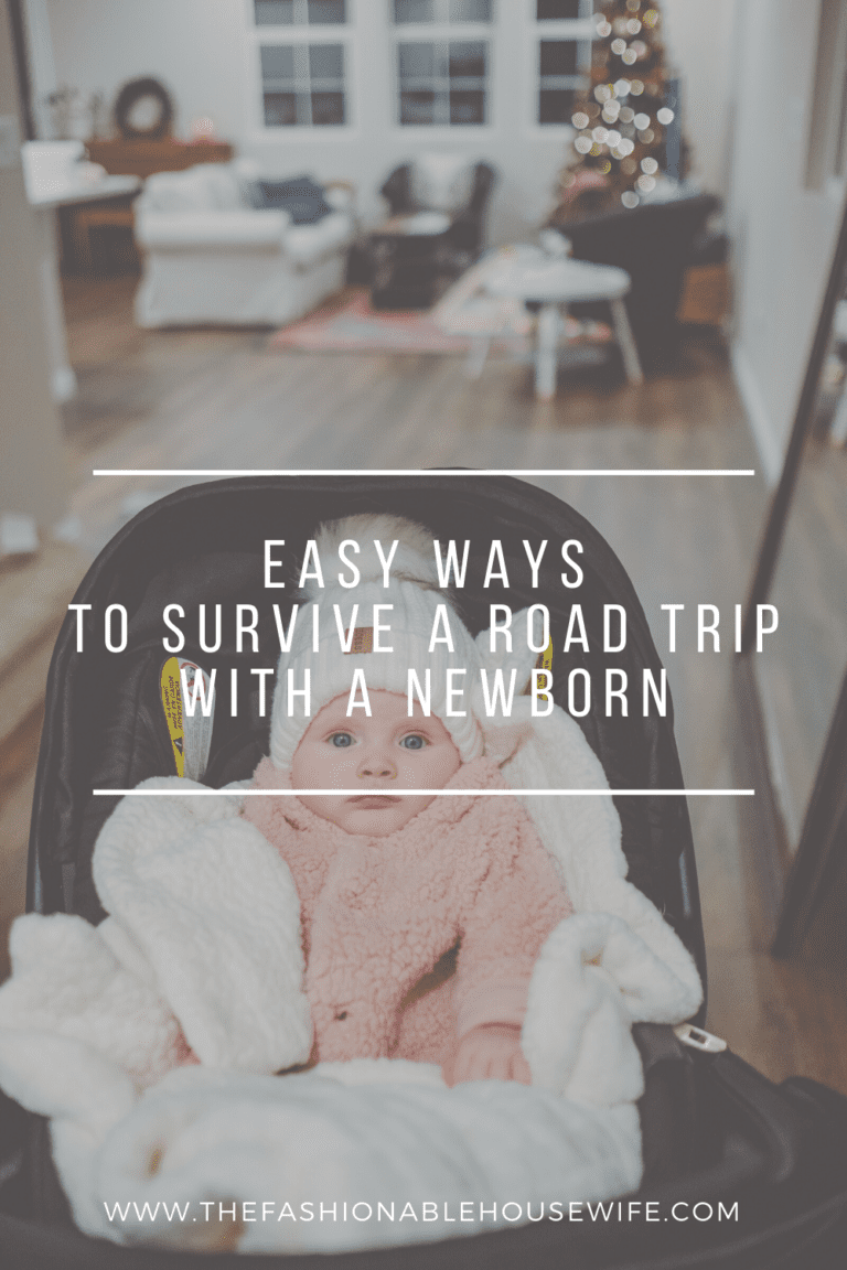 Easy Ways To Survive a Road Trip With a Newborn