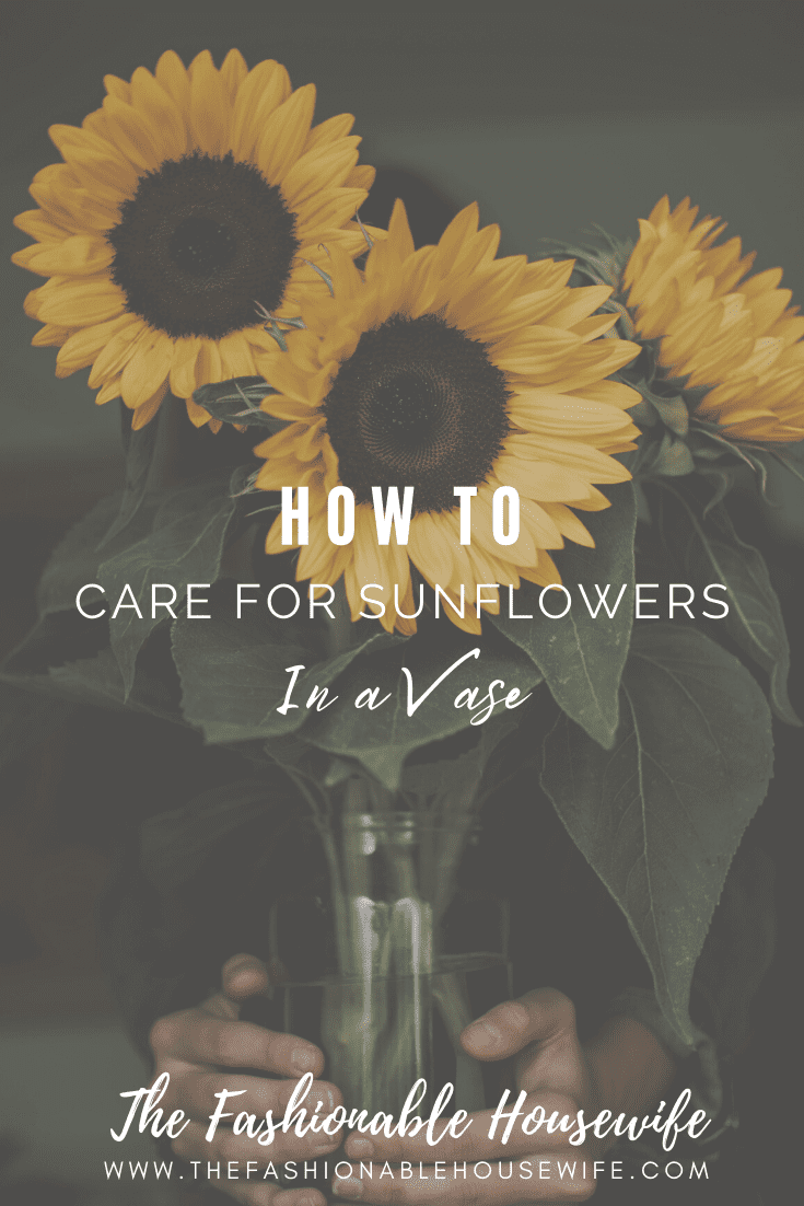 How To Care For Sunflowers in a Vase