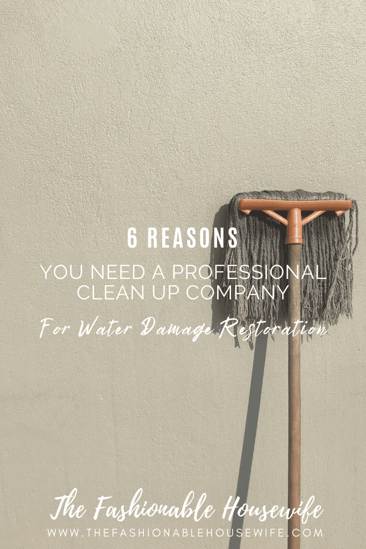 6 Reasons You Need a Professional Clean Up Company For Water Damage Restoration