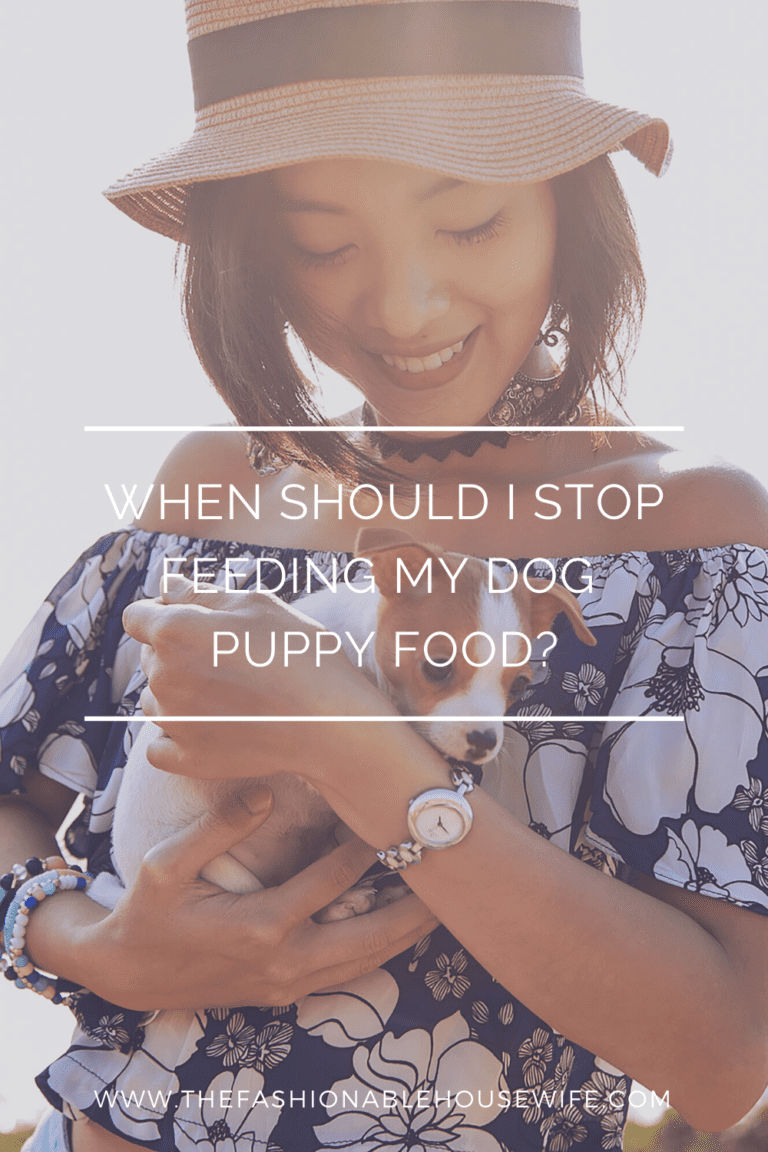 When Should I Stop Feeding My Dog Puppy Food? • The Fashionable Housewife
