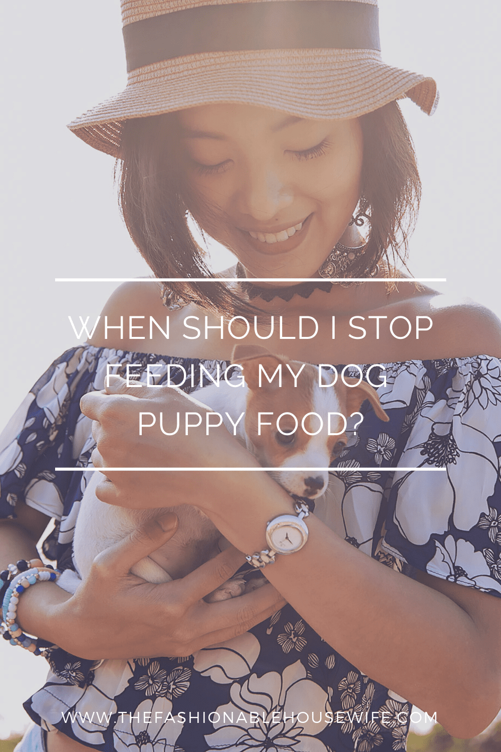 When Should I Stop Feeding My Dog Puppy Food The Fashionable Housewife when-should-i-stop-feeding-my-dog-puppy-food-the-fashionable-housewife