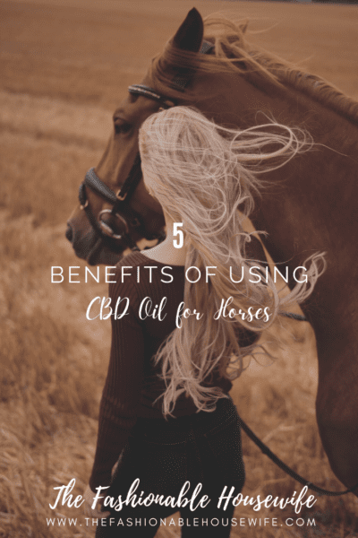 Benefits of Using CBD Oil for Horses