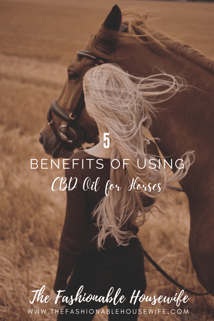 Benefits of Using CBD Oil for Horses