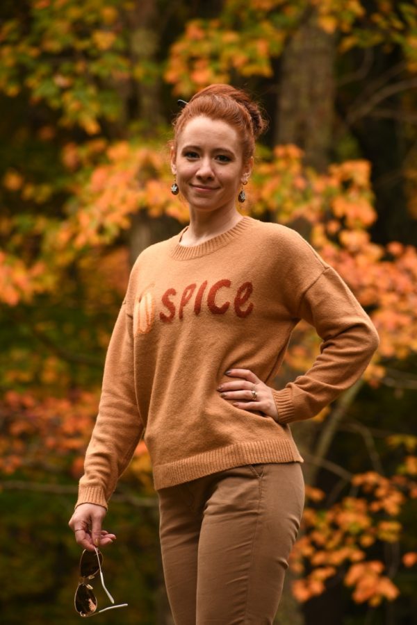 LOFT Pumpkin Spice Sweater