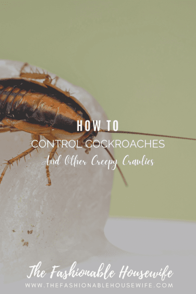 How To Control Cockroaches & Other Creepy Crawlies