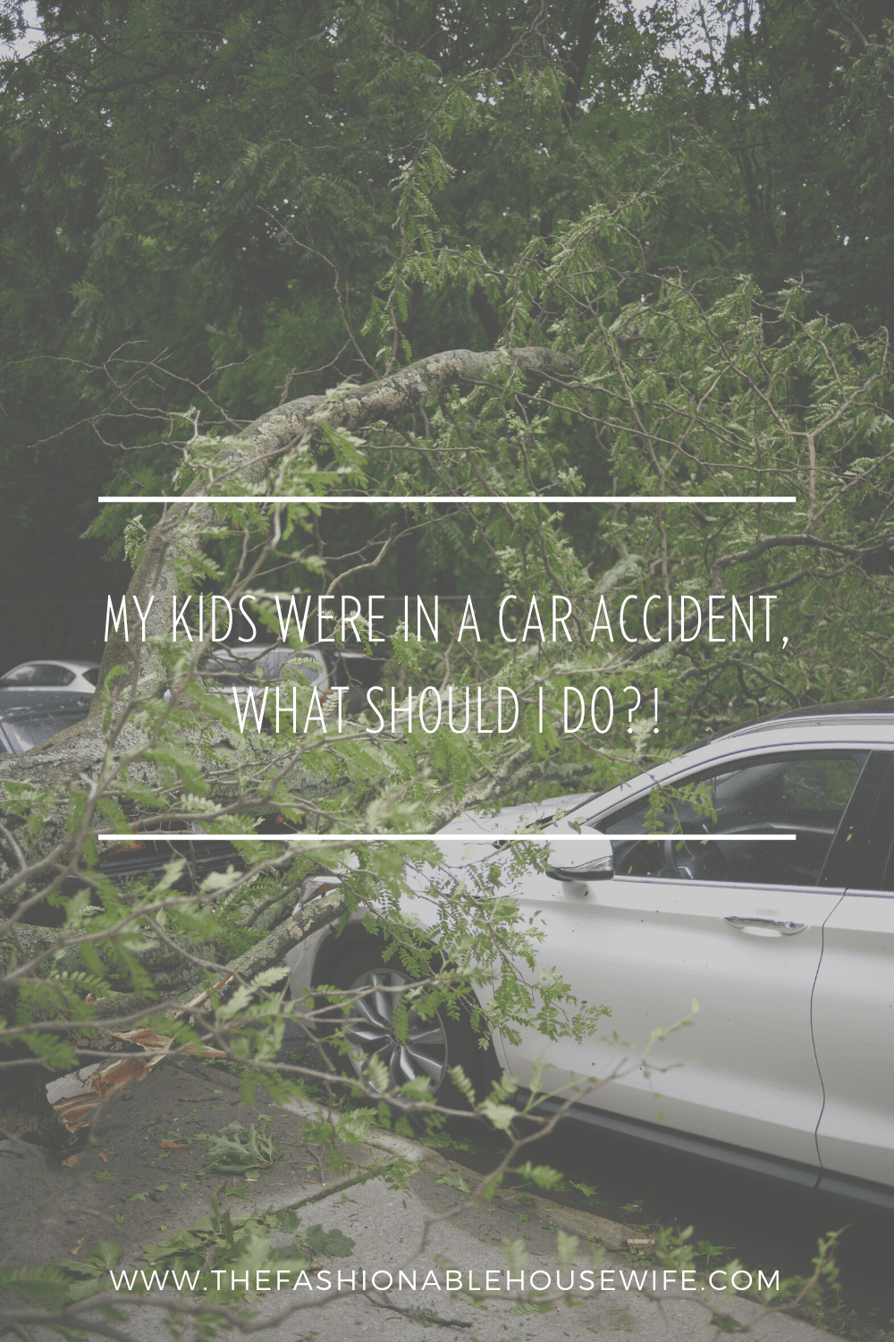 My Kids Were In a Car Accident, What Should I Do?!