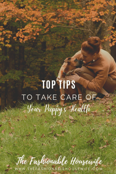 Tips To Take Care of Your Puppy's Health
