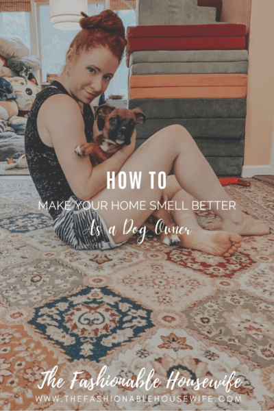 How to Make Your Home Smell Better as a Dog Owner