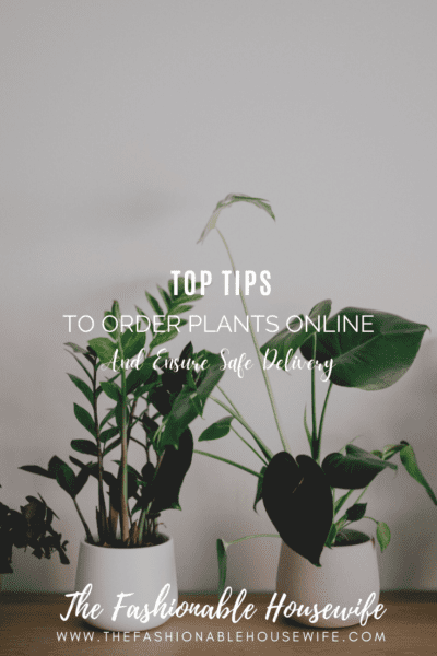 Tips-To-Order-Plants-Online-Ensure-Safe-Delivery