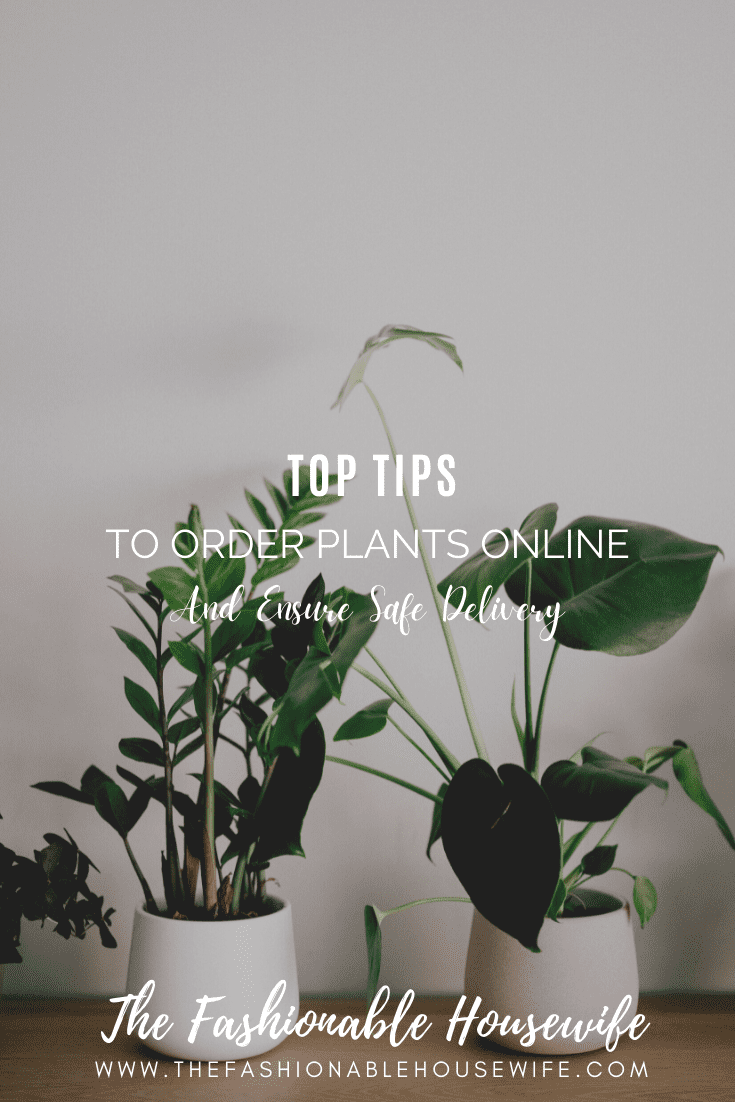 Tips-To-Order-Plants-Online-Ensure-Safe-Delivery