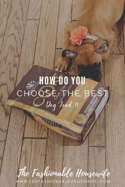 How Do You Choose the Best Dog Food?