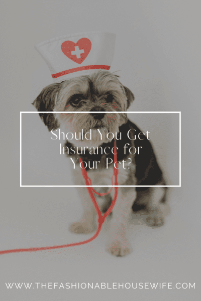Should You Get Insurance for Your Pet?