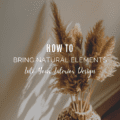 How To Bring Natural Elements Into Your Interior Design