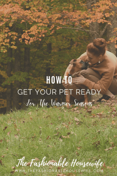 How To Get Your Pet Ready For The Warmer Seasons