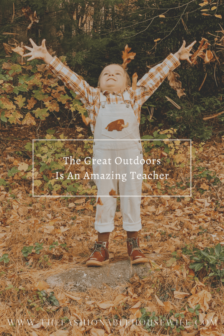 The Great Outdoors Is An Amazing Teacher