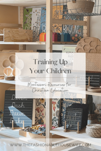 Training Up Your Children: Resources for Christian Education