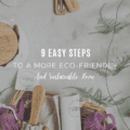9 Easy Steps to a More Eco-Friendly and Sustainable Home