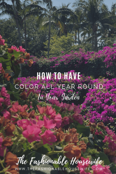 How to Have Color All Year Round in Your Garden