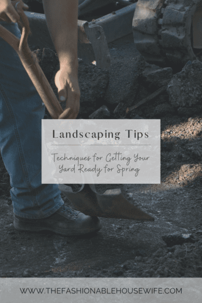 Landscaping Tips: Techniques for Getting Your Yard Ready for Spring