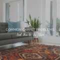5 Common Carpet Problems and How to Fix Them