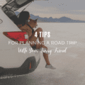 4 Tips For Planning a Road Trip With Your Furry Friend