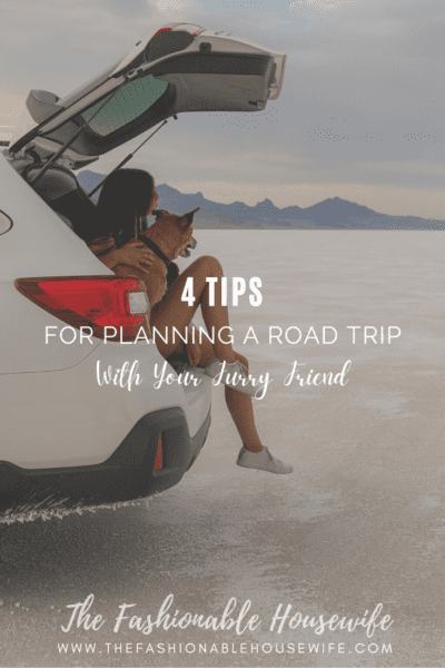4 Tips For Planning a Road Trip With Your Furry Friend