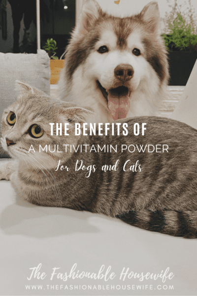 The Benefits of Multivitamin Powder for Dogs and Cats
