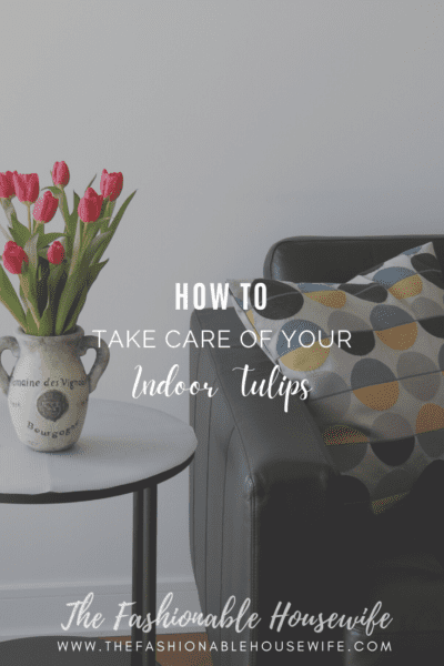 How to Take Care of Your Indoor Tulips
