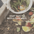Smart Ways To Recycle Food Waste