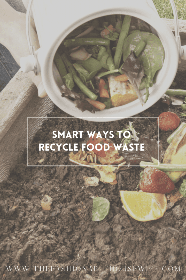 Smart Ways To Recycle Food Waste