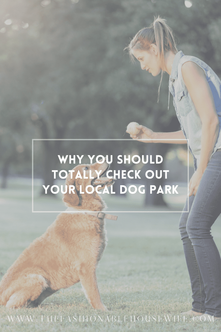 Why You Should Totally Check Out Your Local Dog Park