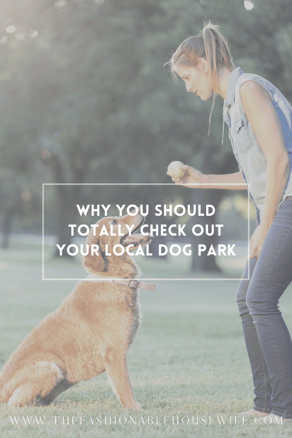Why You Should Totally Check Out Your Local Dog Park