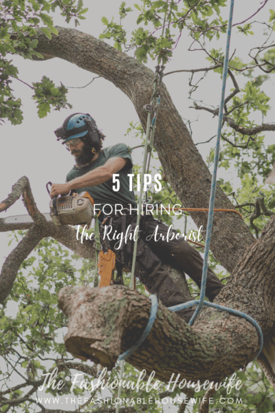 5 Amazing Tips For Hiring The Right Arborist